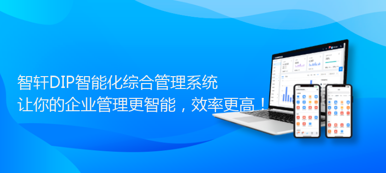 DIP智能化综合管理系统